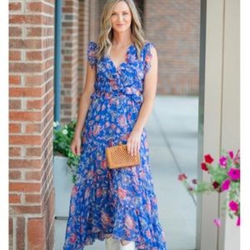 Misa Los Angeles Floral Chiffon Maxi Dress Size XL